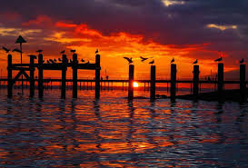 Daniel Milden (@___dan___)