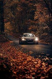 Free Plant Image On Unsplash Audi R8 Wallpaper Sports Car Wallpaper Car Wallpapers