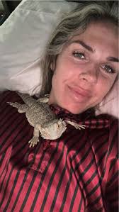 bearded dragon spay care and concern