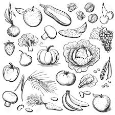 Une Collection De Croquis De Fruits Et Legumes Photos Isolees Sur Fond Blanc Croquis Dessin Fruits Dessins Sur Les Mains