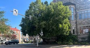 West Chester Residents React to Permit Parking Changes