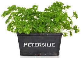 Hallo, gute freunde haben, wie ich heute erfahren habe, am montag petersilienhochzeit. Petersilienhochzeit Spruche Gedichte Ideen Fur Geschenke