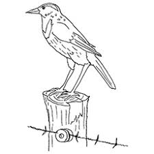 Hundreds of free spring coloring pages that will keep children busy for hours. Top 20 Free Printable Bird Coloring Pages Online