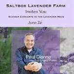 Evening Concert In The Maze At Saltbox Lavender Farm