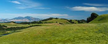 Briones peak is the highest point in the park with an elevation of 1480 ft (451 m), and offers panoramic views of mount diablo and the diablo valley to the east, the sacramento river to the north, and the berkeley hills and mt. Flickriver Most Interesting Photos From Briones Regional Park Pool