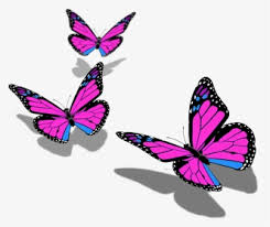 butterfly butterflies papillon mariposa ftestickers clip art kupu kupu hd png download transparent png image pngitem clip art kupu kupu hd png download