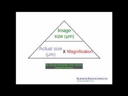 The following equation is used to calculate the magnification produced by a lens. How To Calculate Magnification Youtube