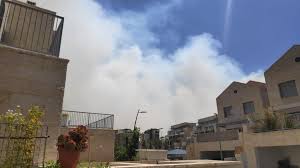 אונקולוגיה של העין מומחה באונקולוגיה ופתולוגיה של העין. 8qkzn Gg Ydonm