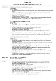 This resume format highlights your most recent / current work experience and works its way backwards. Customer Experience Manager Resume Samples Velvet Jobs
