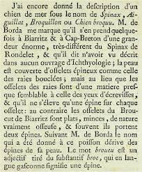 Voir le classement des joueurs en grille américaine de l'édition 2015 sur le site. L Histoire De La Description Du Squale Boucle Echinorhinus Brucus Bonnaterre 1788 Echinorhinidae Et La Redecouverte Des Illustrations Du Type Perdu