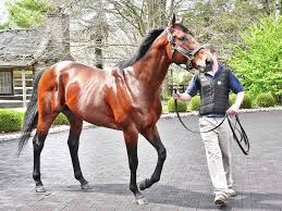 The preakness stakes is annually held on the third saturday in may. Ashford Home To Past And Perhaps Future Triple Crown Winners Ledger Independent Maysville Online