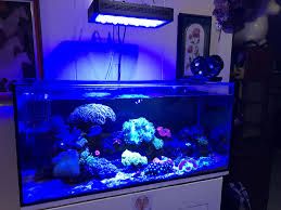 Mars Hydro Sp 6500 Led Grow Light Samsungled Lm301b Indoor Plants For Veg Flower Aquarium Lighting Led Aquarium Lighting Aquarium Lamp