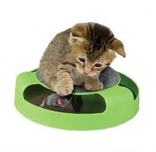 Dependable Cat Mouse Toy For Kittens Cats Catch The Mouse Motion Cat Toy Incredibly Fun To Play With And Amusing To Watch Pet Kitten Cat Toys Cats And Kittens