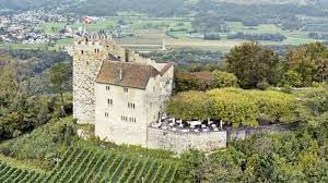 2.7 habsburg inbreeding and extinction of the male lines. Schloss Habsburg Infos News Mehr Burgen De
