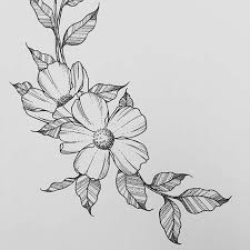 Watch 8 awesome drawing tricks for kids you will know how to draw a tree for kids easy way with cotton swabs, drawing flowers with a bottle or amazing blosso. 29 Flores Primavera Faciles Dibujos Para Colorear