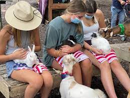 Check spelling or type a new query. Farm Petting Zoo Definition It Is Clean Not Too Big A Lot Of Animal Interaction Not Too Expensive Friendly Workers Picturesout