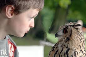 Language experience books are appropriate for readers of all ages and all  ability levels because they: