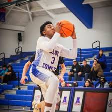 Darrion Johnson's High School Basketball Stats