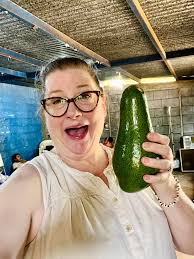 Rob & Nita's BOLD Adventures