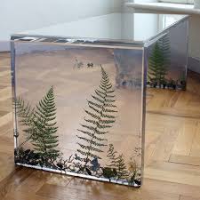 Ferns Table Ferns Forest Debris Resin Acrylic Resin Furniture Resin Table Acrylic Furniture