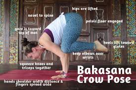 Alignment Tips For Bakasana Crow Pose Learn To Teach Modifications And Variations For Crow Pose Ambuja Yoga Crow Pose Poses Yoga