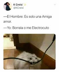 Toxicos As En 2020 Imagenes De Memes Graciosos Memes Divertidos Memes Graciosos