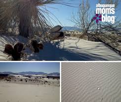 White sands national park preserves a. White Sands A Spring Break Adventure In New Mexico