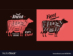 meat cut charts food butcher shop beef concept