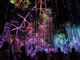 Where To See The World S Best Christmas Lights Best Christmas Lights Christmas Lights Holiday Experience