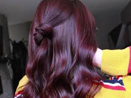 Bremod hair color chart health beauty care on carou. Hair Color Inspiration 25 Plum Hair Color Photos