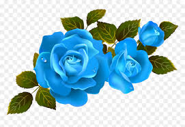 Scroll down below to explore more related flower, rose, png. Mq Blue Roses Rose Flower Flowers Clipart Roses Transparent Background Hd Png Download Vhv