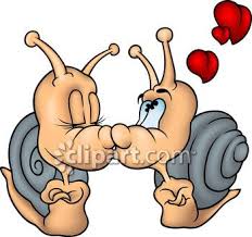 Clipart Com Closeup Royalty Free Image Of Affectionate Amorous Animal Animals Anniversaries Anniversary Boyfrien Snail Cartoon Cartoon Animals Cartoon Garden