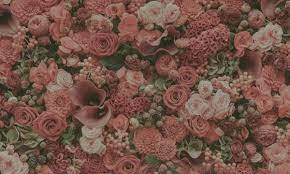 Our database has everything you'll ever need, so enter & enjoy ;) Flowers By Joanne 25 Photos Florists 4806a 50th Ave Bonnyville Ab Phone Number Yelp