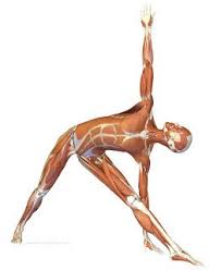 Coordinate And Balance Your Body With This Simple Asana Asana Triangle Pose Yoga