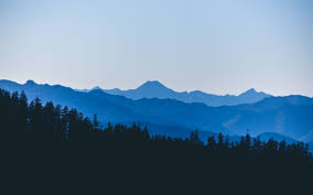 The great collection of minimalist 4k wallpaper for desktop, laptop and mobiles. Minimalist Nature 1920x1080 Download Hd Wallpaper Wallpapertip