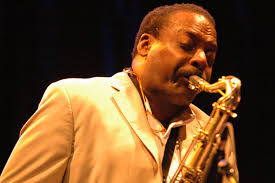 David Murray Musician