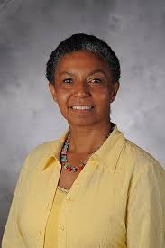 Chandos Information Professional (195 book series) Kindle Edition