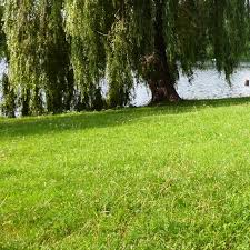 We did not find results for: Mowing Cost Per Acre