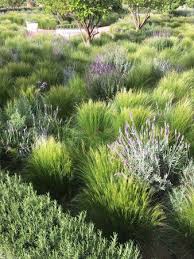 Photo8 Jpg Back Garden Landscaping Moroccan Garden Gardens Of The World