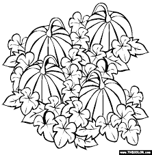 It can be colored in shades ranging from deep yellow to orange. Halloween Online Coloring Pages