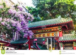 The snowdrop is the flower for january. Beautiful Purple Blossom Flowers At Chinese Gateway Sydney China Town Editorial Stock Photo Image Of Green Famous 121732058