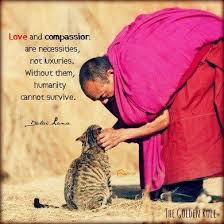Truth Http Sulia Com My Thoughts E4b0c1dc 596b 401c 99b7 Ee8603247433 Pinner 119686333 Inspirational Quotes Dalai Lama Wisdom Quotes