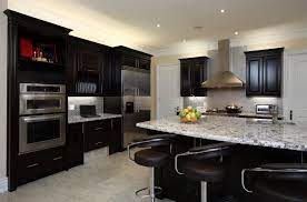 52 Dark Kitchens With Dark Wood Or Black Kitchen Cabinets 2021 Dark Kitchen Cabinets Kitchen Design Dark Kitchen