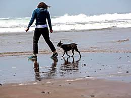 Looking for a pet friendly hotel in klamath falls, oregon, united states to stay with your dog, cat or other favorite animal? 20 Dog Friendly Hotels In Oregon Sara Moretti S Guide 2021