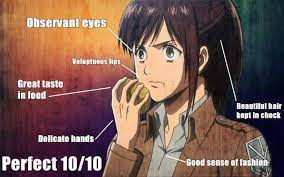 Search, discover and share your favorite attack on titan meme gifs. I Miss Sasha Already Titanfolk