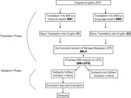 Bm translated from english to dutch including synonyms, definitions, and related words. Construct And Criterion Validity Of The Malaysia Version Of Lower Extremity Functional Scale Lefs Sciencedirect