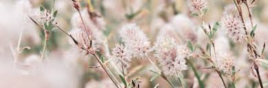 2 2 Million Free Stock Photos For Download Pixabay Pixabay also allows easy access to camera search, which allows users to explore images based on the camera.