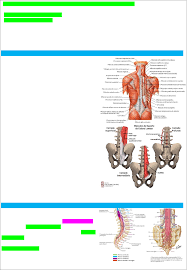 APG 2 - LOMBALGIA - Ortopedia