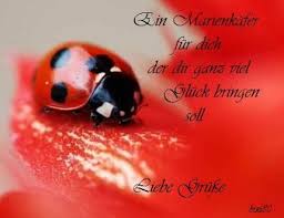 Pin Von Maria Stelzner Auf Liebe Grusse Spruche Gluck Liebe Grusse Bilder Gluck