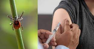 Inte längre gratis för alla barn. Tbe Vaccin Sa Manga Doser Ska Du Ta Land